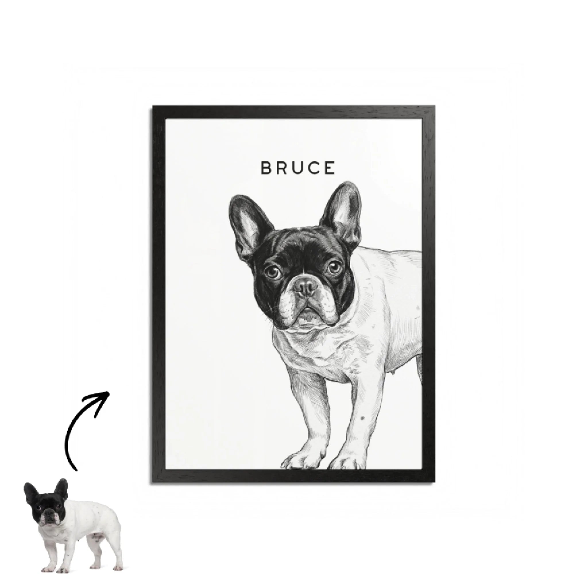Custom Pet Portrait1