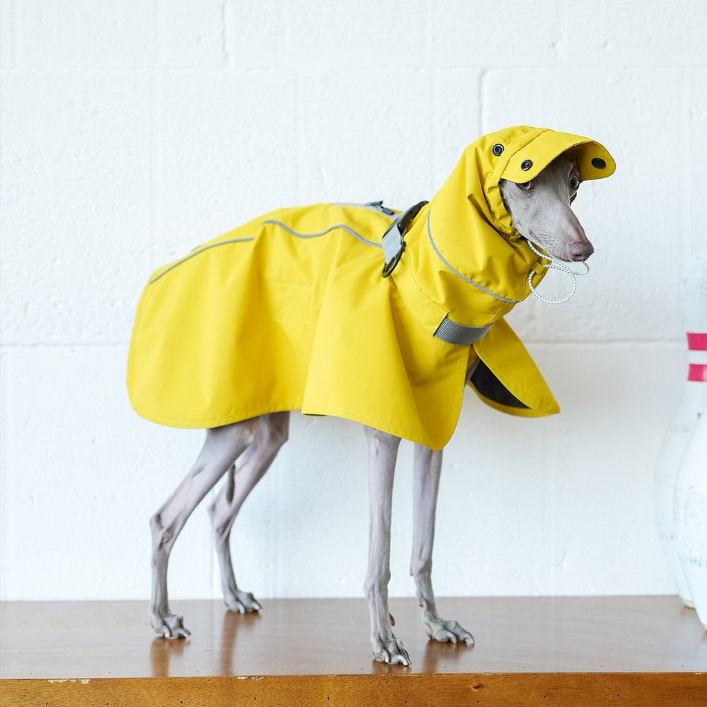 Dog Rain Poncho