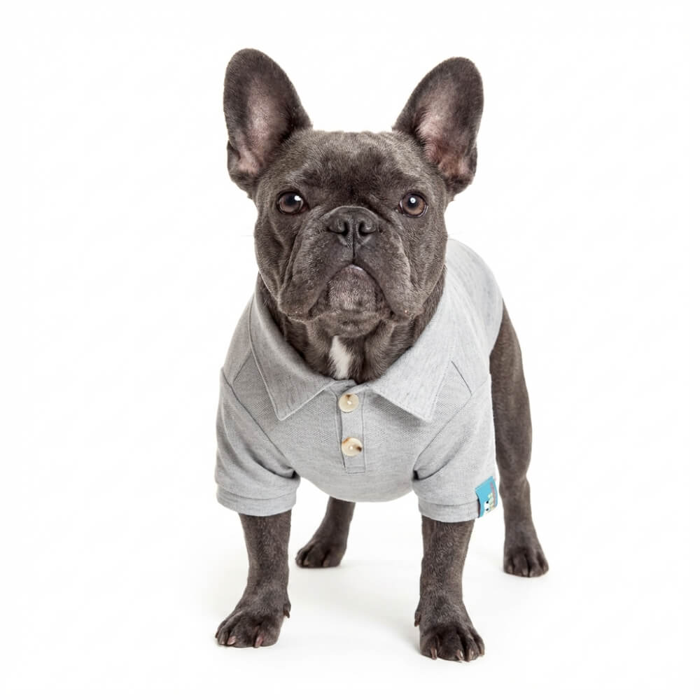 Dog Polo Shirt
