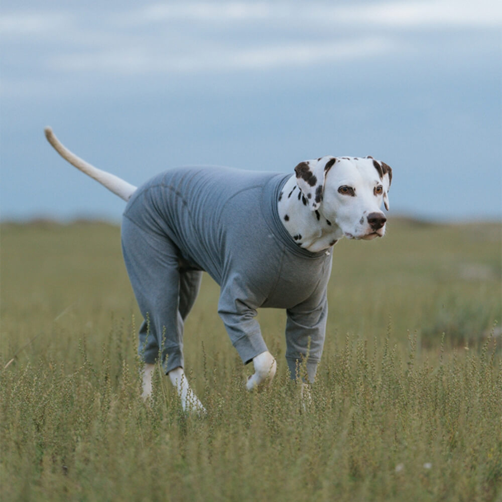 Graphene Thermal Dog Onesie
