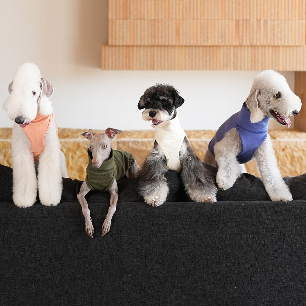 High-Stretch Velvet Dog Vest