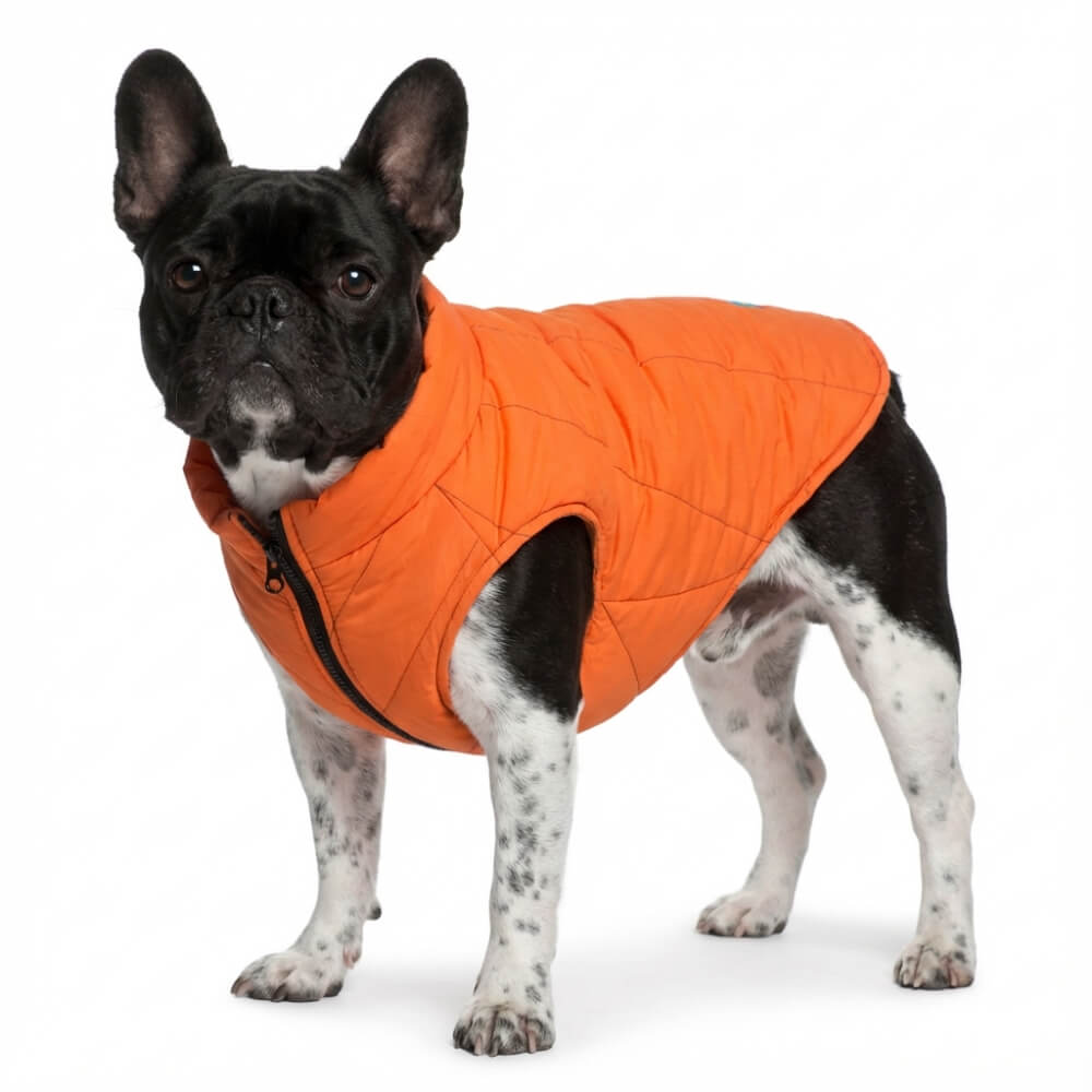 Quilted Dog Puffer Vest