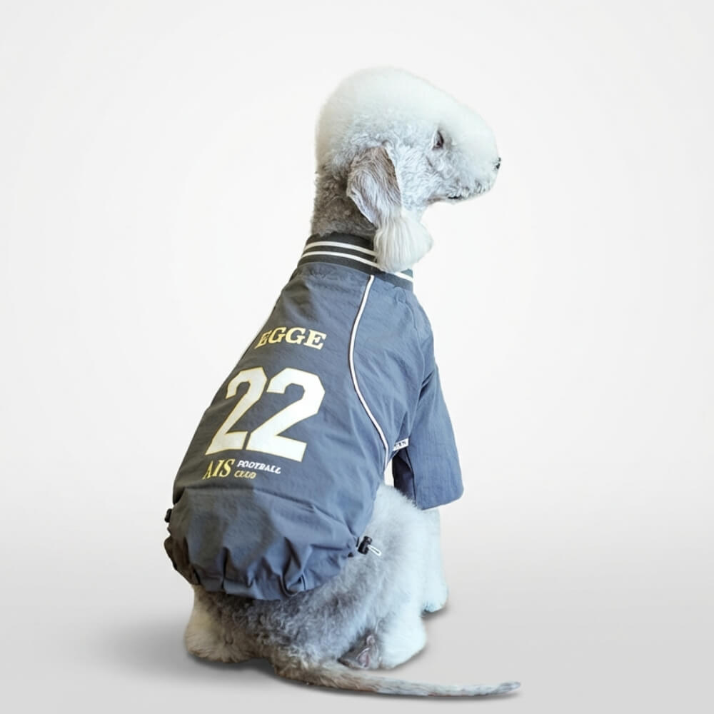 Dog Varsity Track Jacket