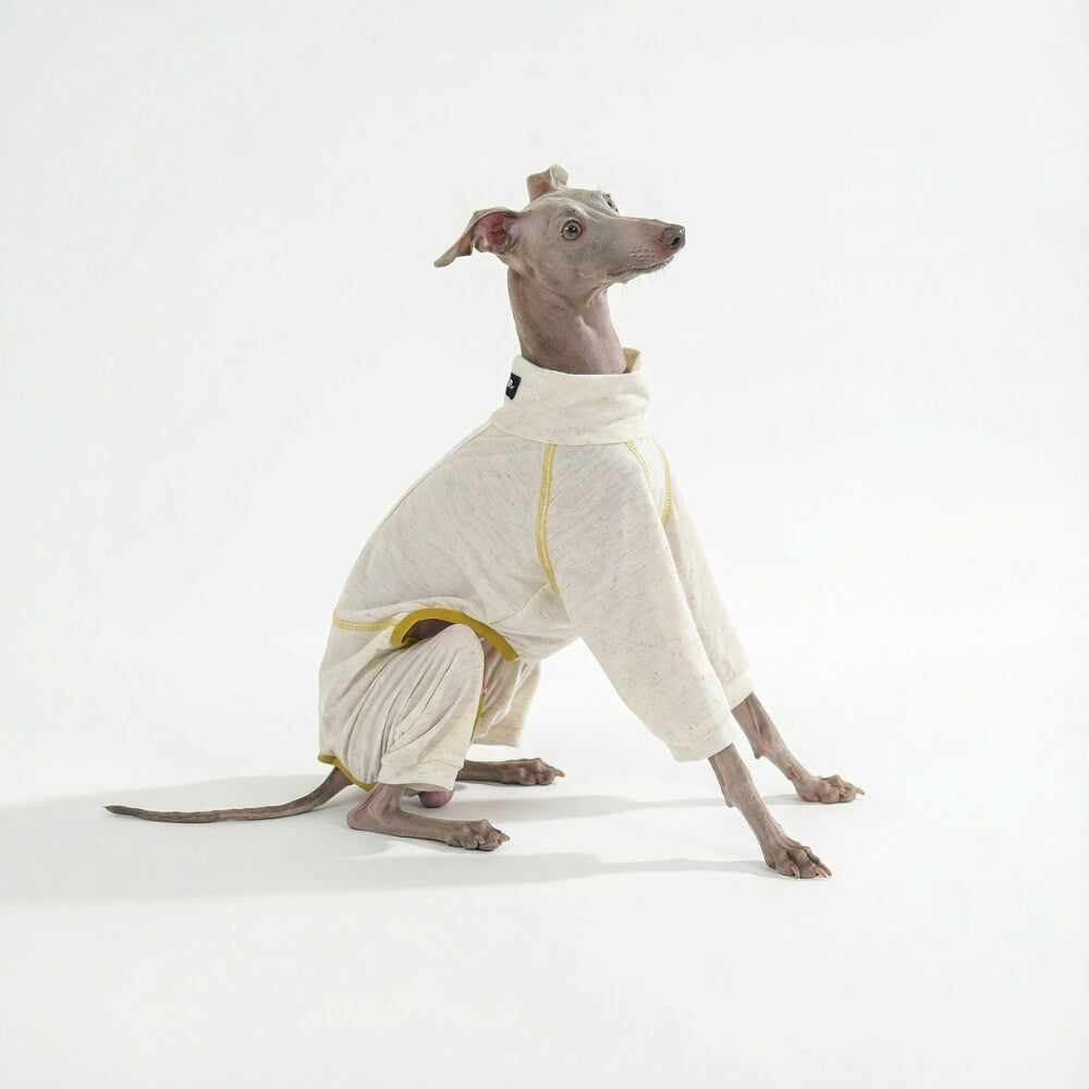 Lightweight Sensitive-Skin Dog Bodysuit