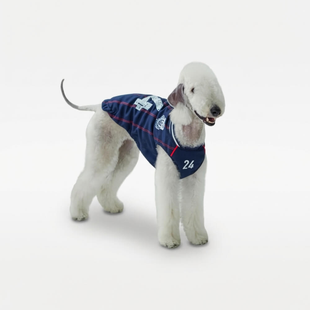 Mesh Dog Jersey Tank