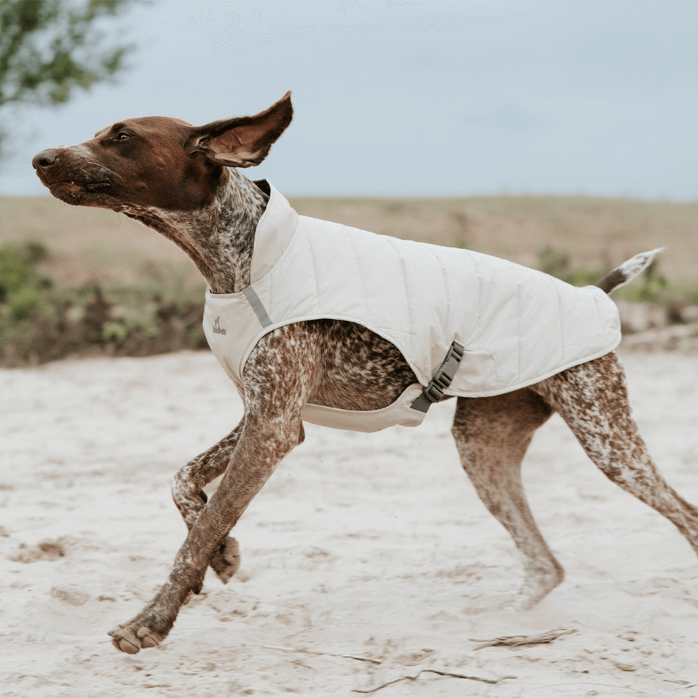 Snuggle Puff Dog Coat