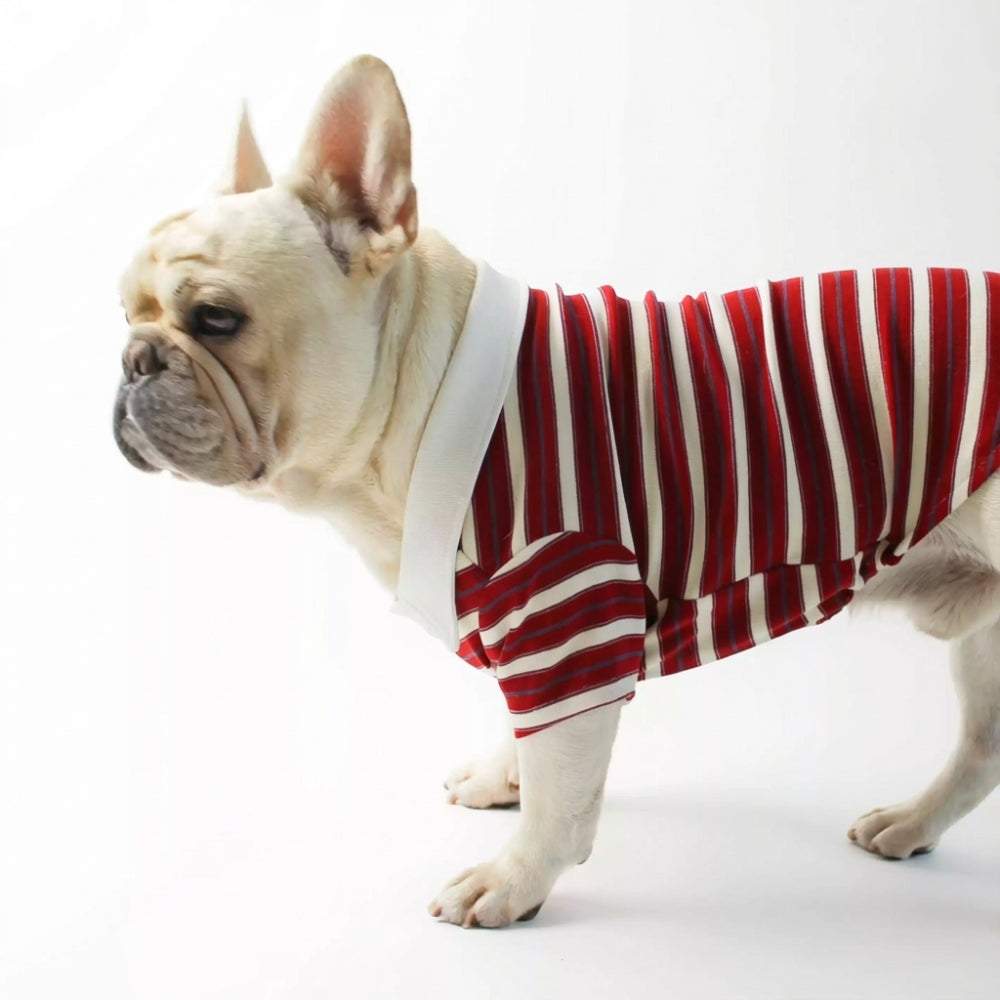 Striped Polo Dog Shirt