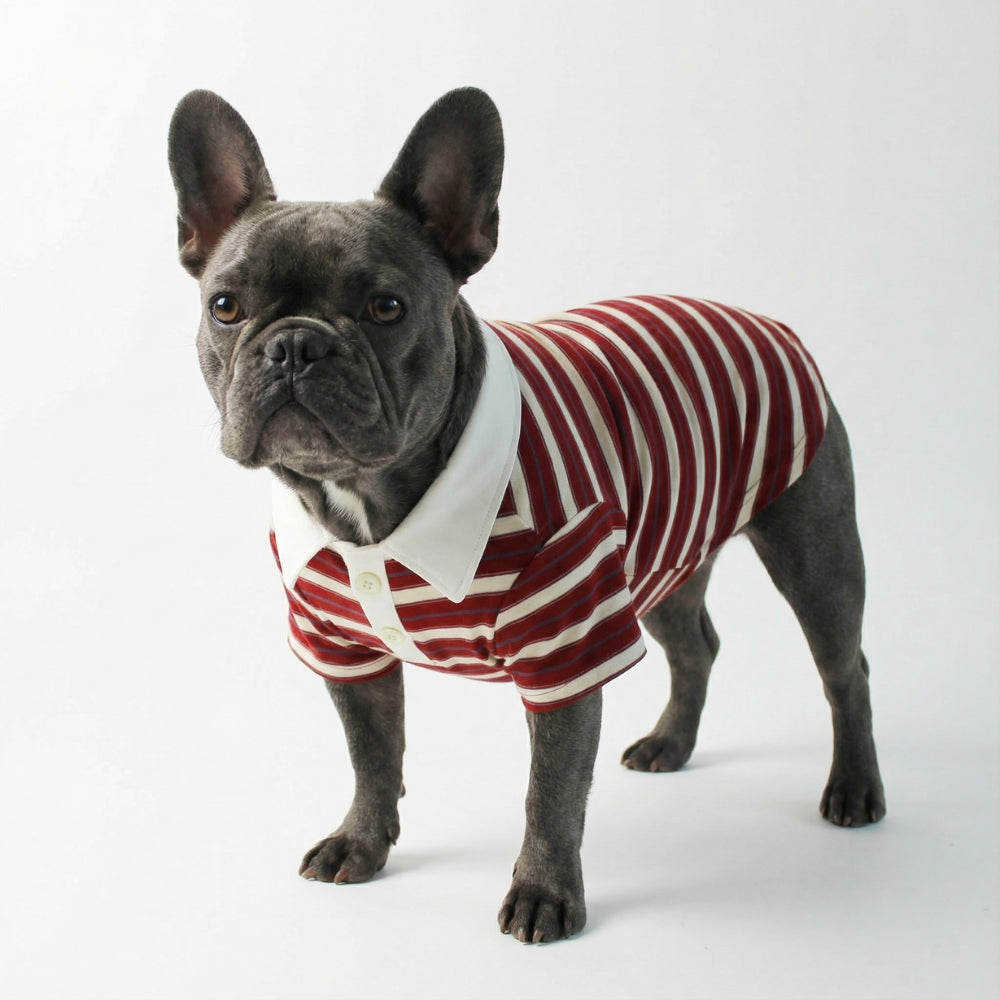 Striped Polo Dog Shirt
