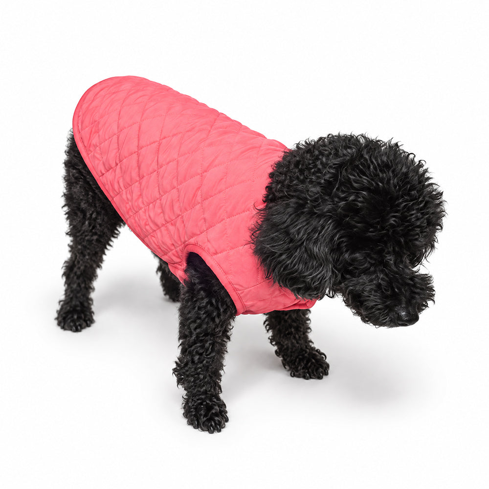 Quilted Dog Vest