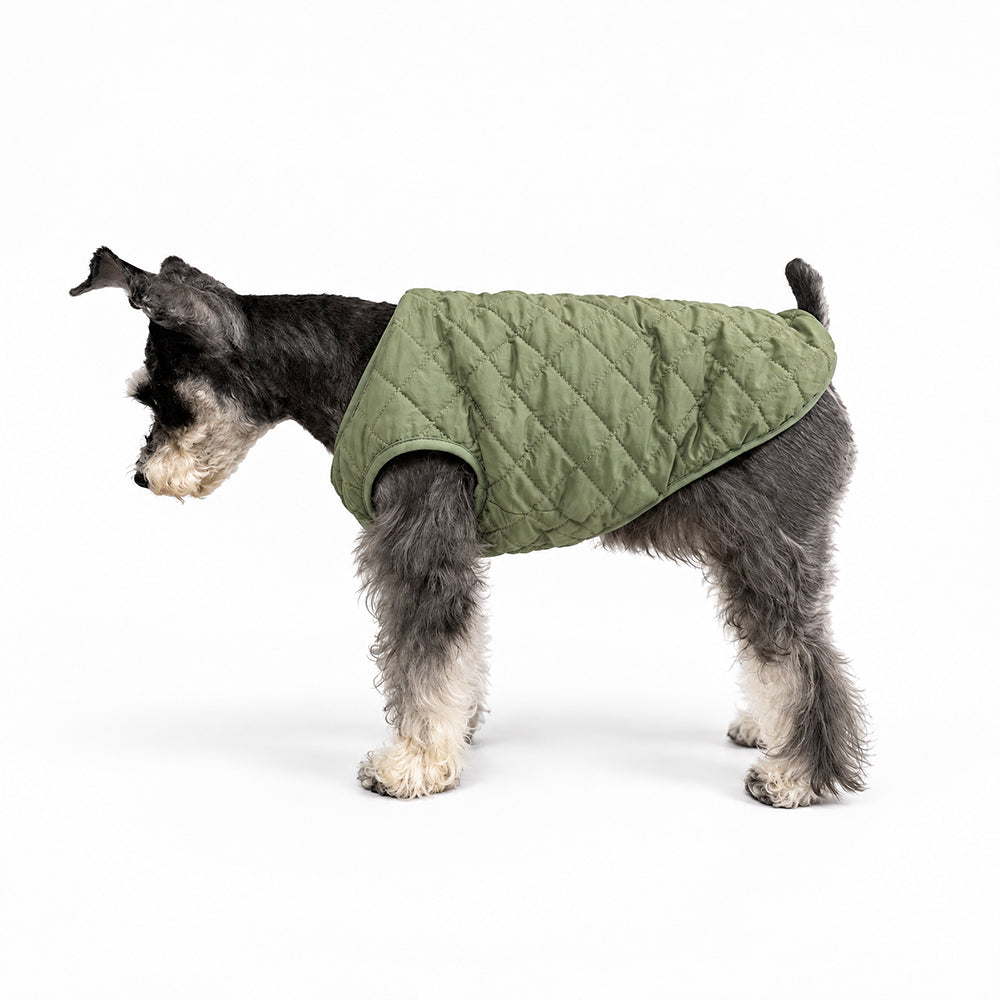 Quilted Dog Vest