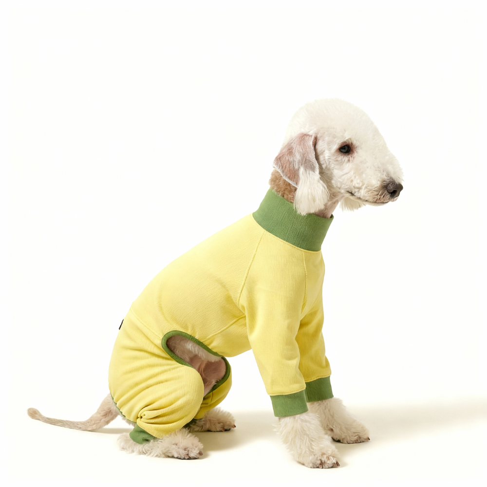 UPF 50+ Cooling Dog Bodysuit