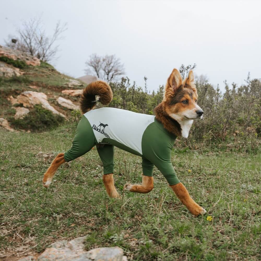 Ultra-Stretch Sun-Shield Cooling Suit