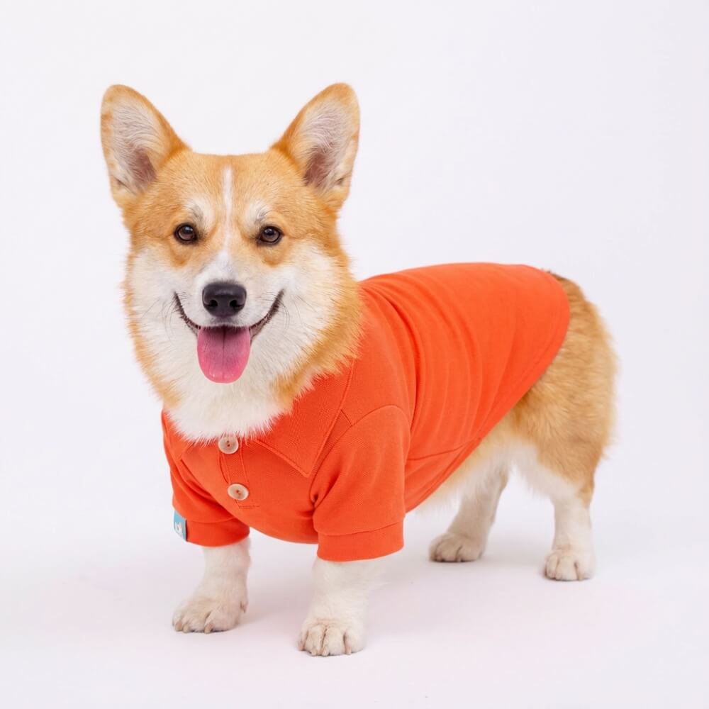 Dog Polo Shirt