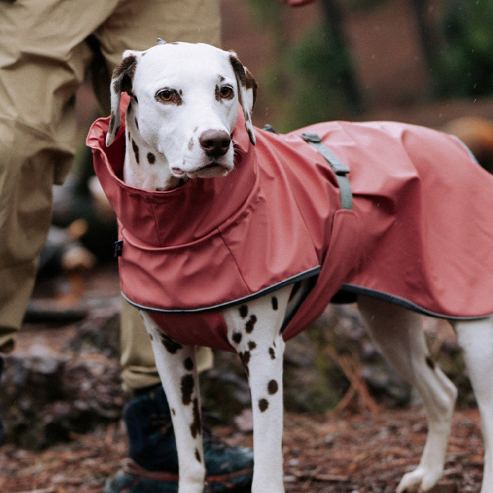Puffer PU Dog Rain Jacket