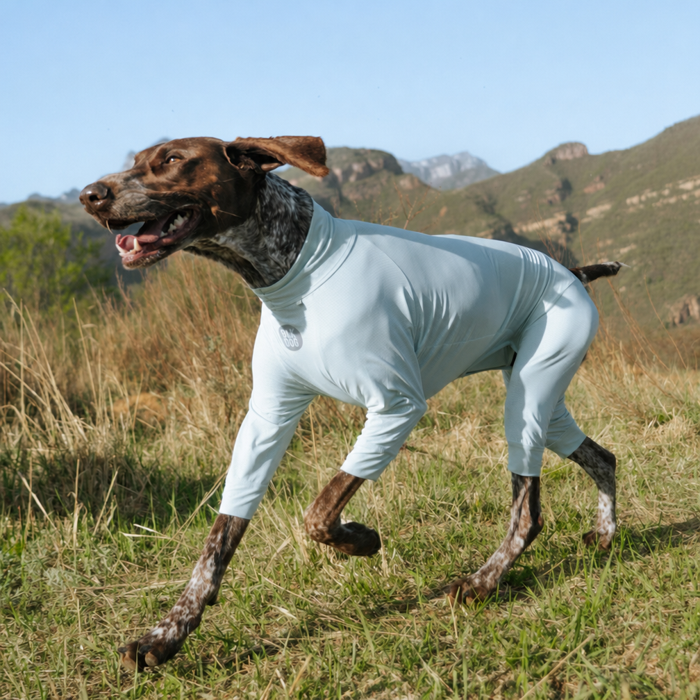 Insect Shield Cooling Dog Jumpsuit