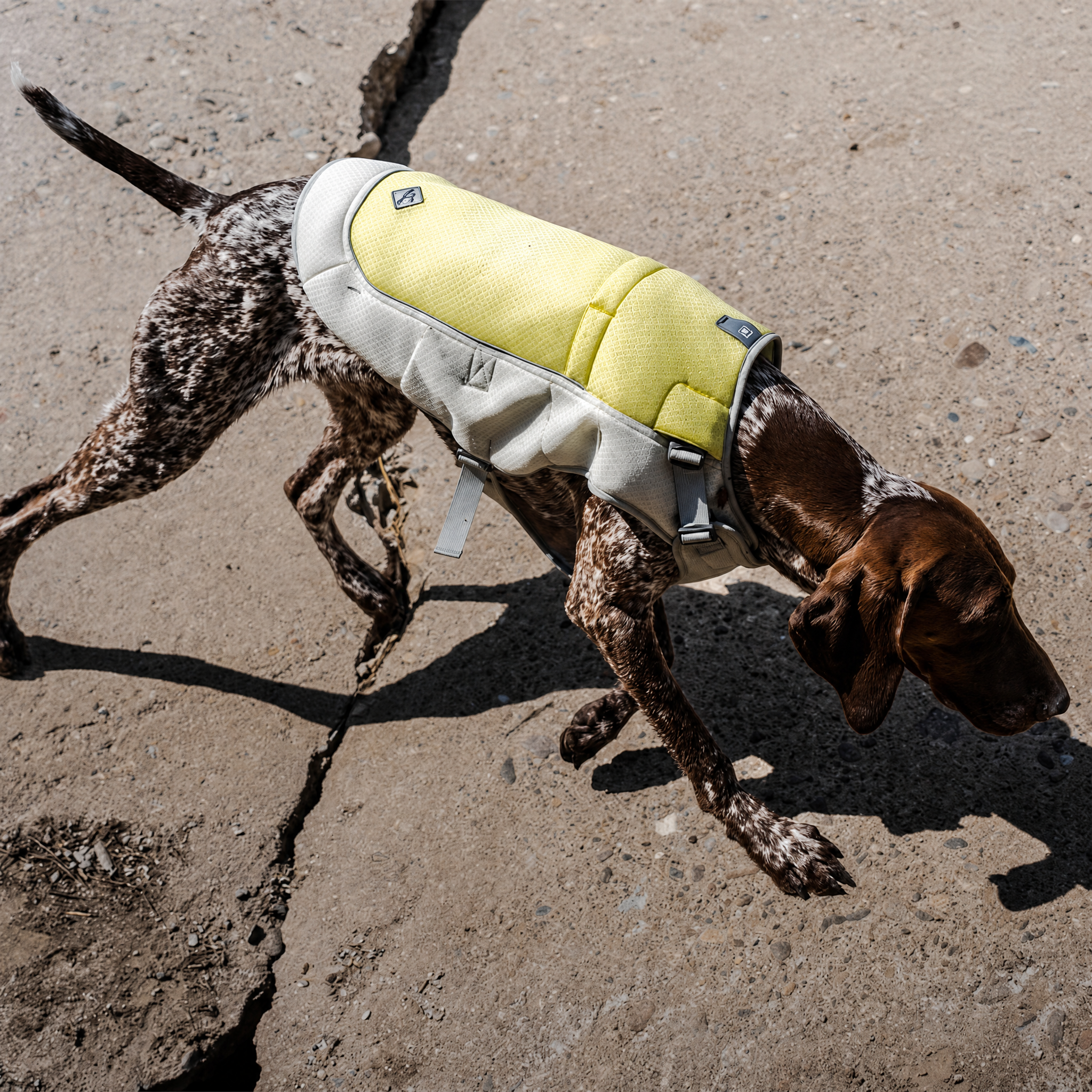 Evaporative Cooling Dog Vest