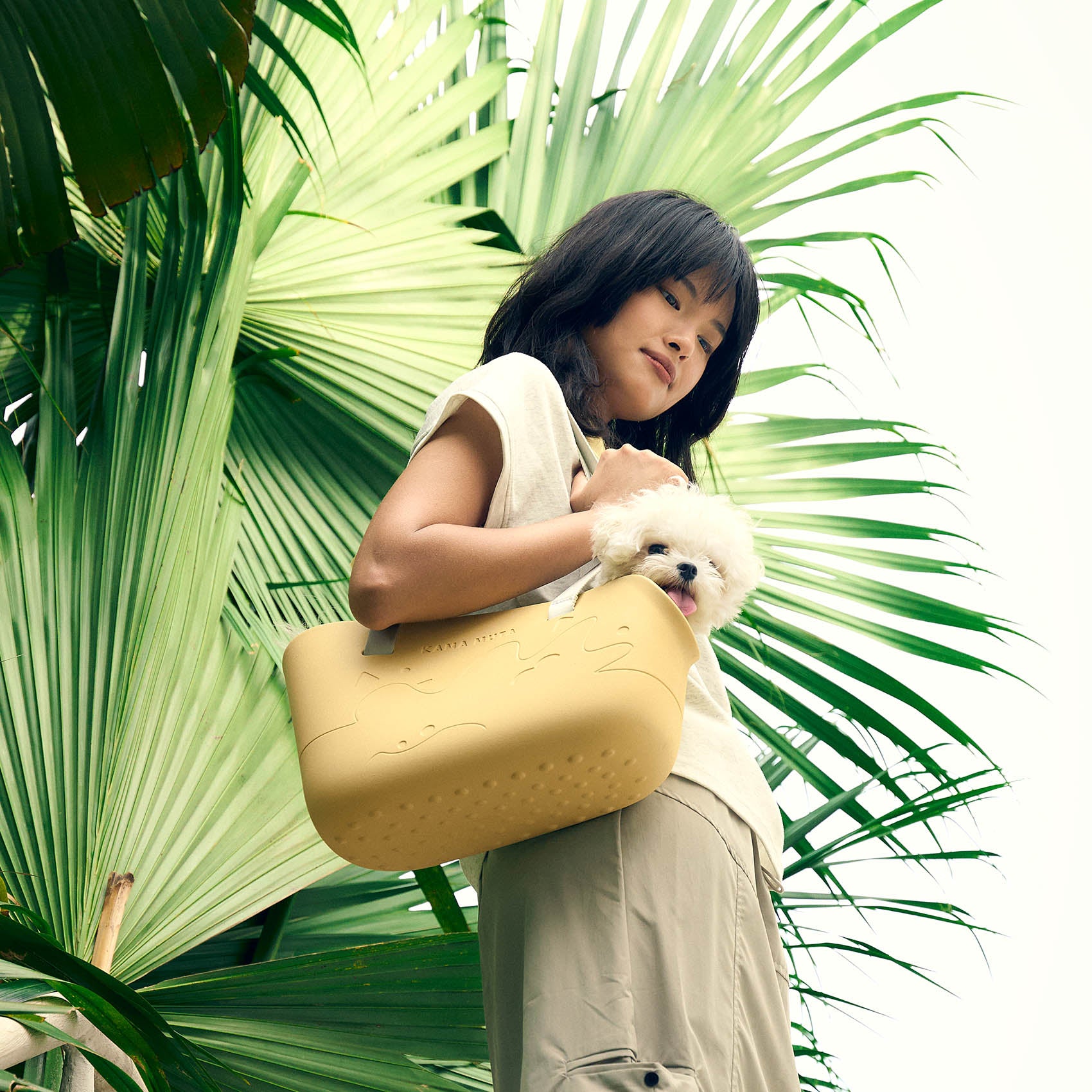 Pet Carrier Tote - Standard