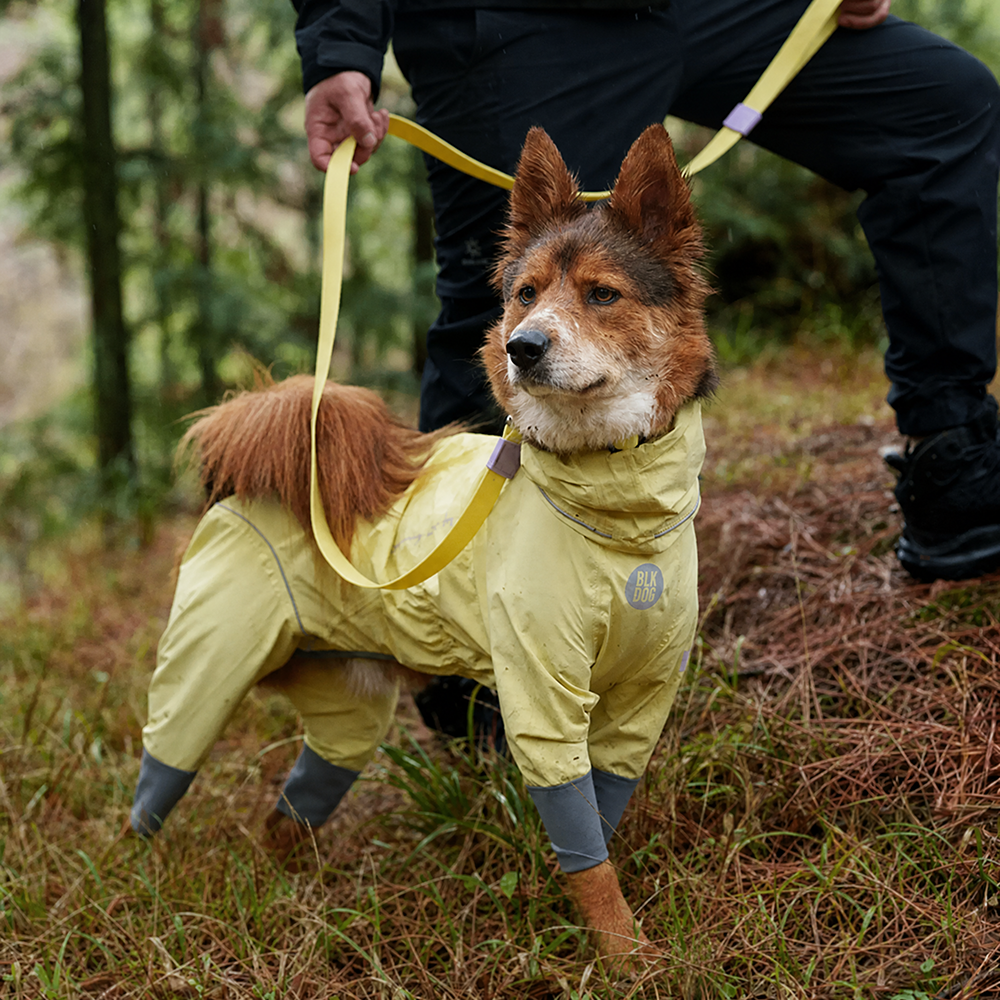 All-Terrain Waterproof Dog Raincoat
