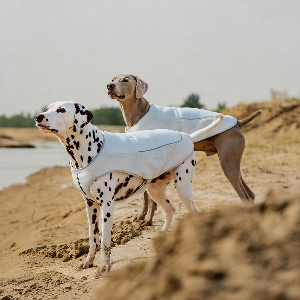 Evaporative Cooling Dog Vest
