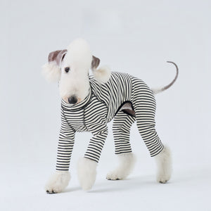Stripe
